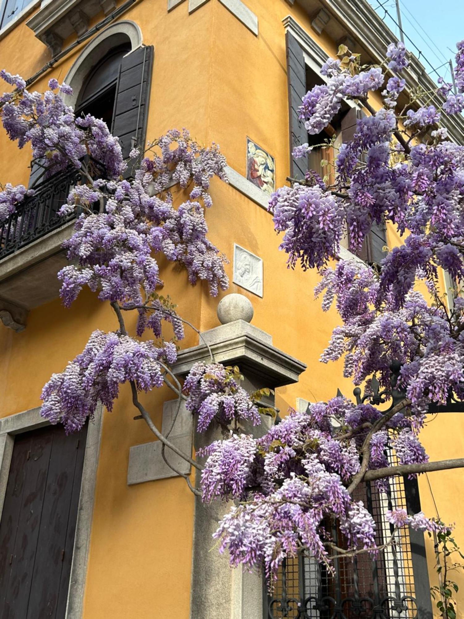 Carbonaia Venezia Hotel Buitenkant foto